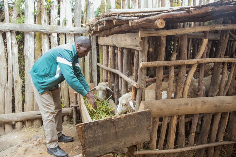 Umusave Fund Supporting Restoration and Economic Benefit in the MuLaKiLa Project Landscapes