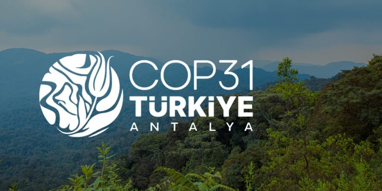 Will COP31 mark the shift from climate commitments to implementation?